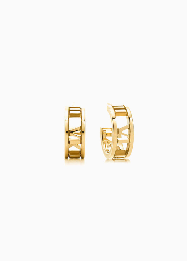 Gold Hoop Earrings