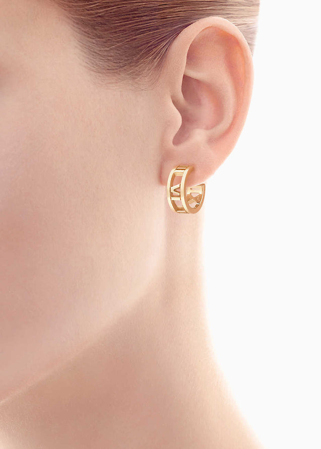 Gold Hoop Earrings